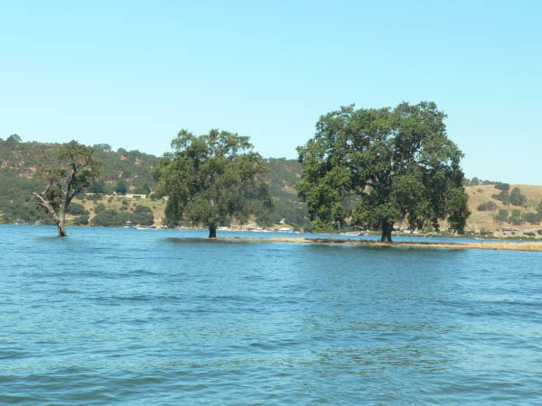 Another example of the high water level at Lake San Antonio.