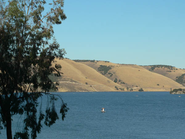 Lake San Antonio from the camp.  Note the high water level (or lack of "bathtub rings" from a low level).