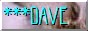button_ddtb1.jpg