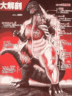 Gozilla cut-away