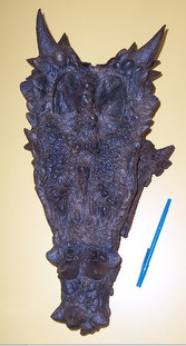 Dracorex hogwartsia