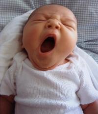 Yawn